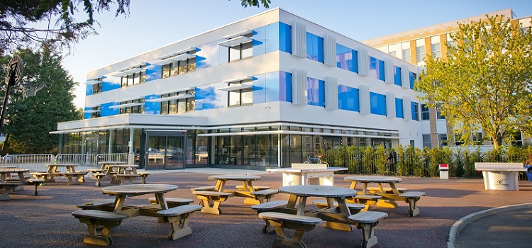 CATS COLLEGE